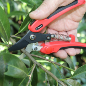 compound pruners red