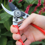 pruners red