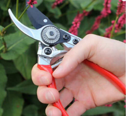 pruners red