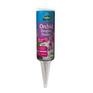 Orchid Droplet Feeder