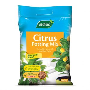 Westland Citrus Potting Mix 8Ltr