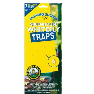 Whitefly Traps