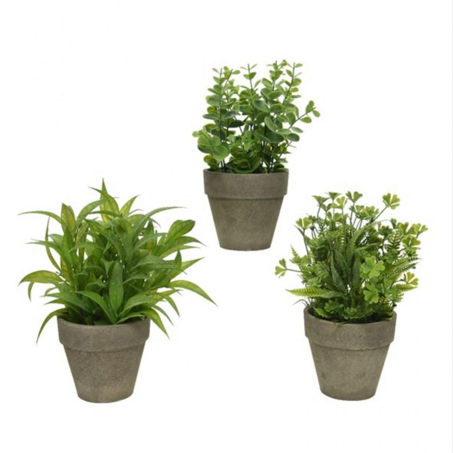  Artificial  Plant  in Pot  Assorted Charnley s Home 