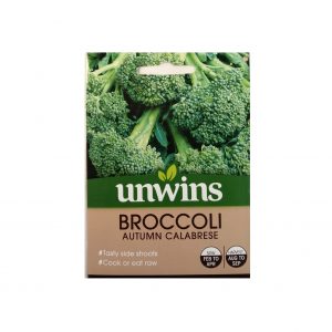 Broccoli ( Autumn Calabrese )
