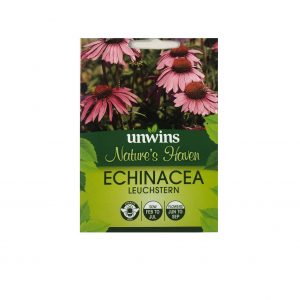 Echinacea ( Leuchstern )