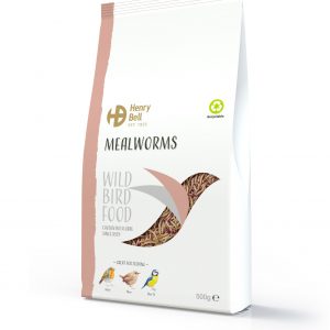 Mealworms 500g