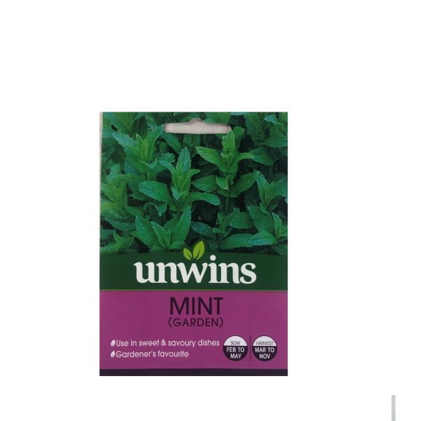 Mint ( Garden )