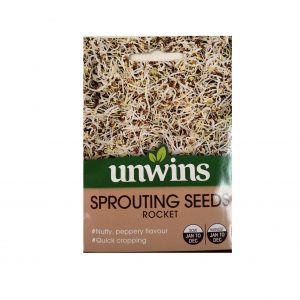 Sprouting Seeds ( Rocket )